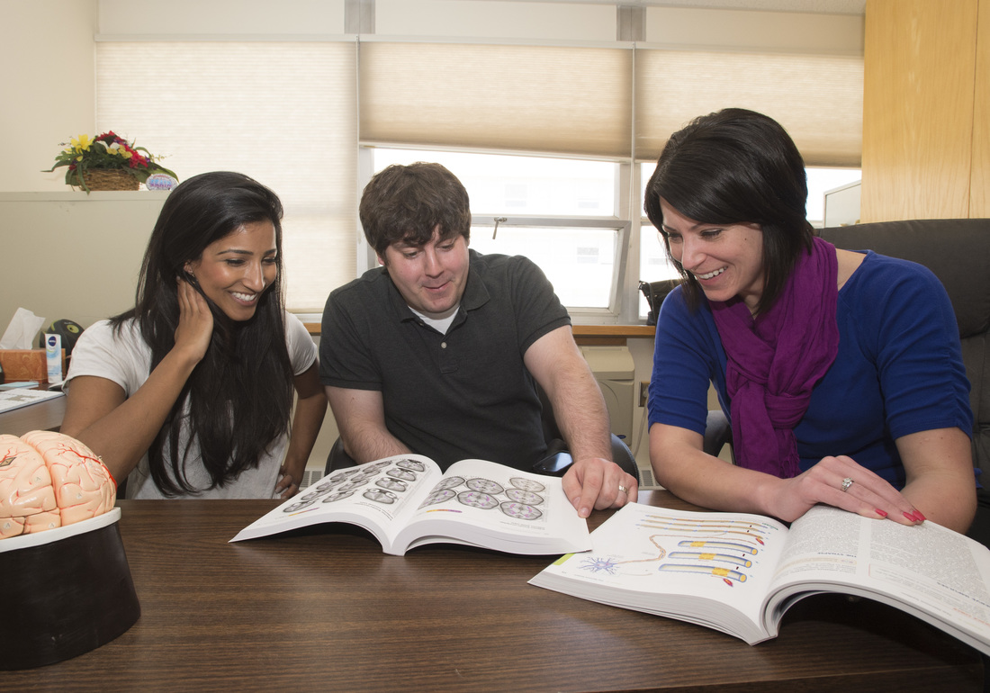 Picture of Jabeene Bhimji, Matthew Schumann, and Samantha Tupy studying neuroanatomy with books and a model
